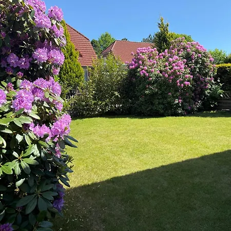 Seerrobbe Holiday home *